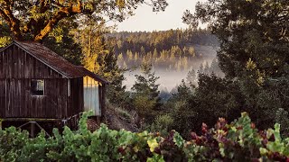 Kosta Brownes Single Vineyard Series Giusti Ranch Pinot Noir [upl. by Dalohcin803]