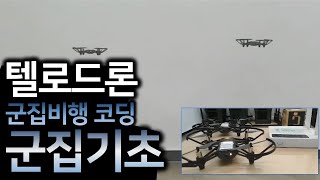 텔로에듀군집비행tello edu swarm 2drones [upl. by Annocahs]