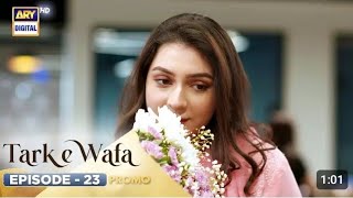 New Tark e Wafa Episode 23  Promo Tark e Wafa Episode 23  Promo Ayesha larr revew tarke wafa [upl. by Harlene]