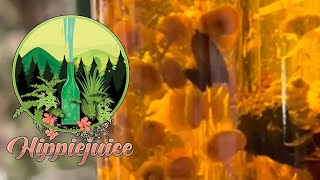 Ep 86  Hippie Juice [upl. by Sufur]