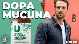 Top 5 Benefits Of Mucuna Pruriens and LDOPA [upl. by Inaja]