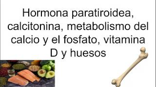 Fisiologia  Paratormônio PTH Vitamina D e Calcitonina [upl. by Glaudia]