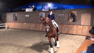 Geniaal KWPN  Stallion Show Vanuytert 2015 [upl. by Sheila244]