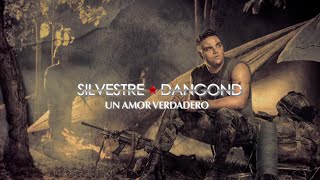 Un Amor Verdadero Silvestre Dangond amp Rolando Ochoa  Letra Oficial [upl. by Aihsetel]