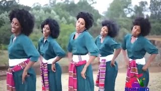 Best Ethiopian Traditional Music 2014 Solomon Demle  Mech Ayeshiwuna [upl. by Aztiley198]