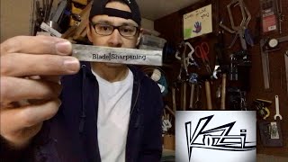 Don’t Buy a Jointer Blade Sharpening Jig [upl. by Kantos]