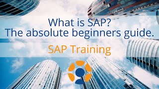 What is SAP  The Absolute Beginners Guide [upl. by Ches]