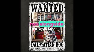 Why Dalmatians Are The Most Misunderstood Dog dalmation dogs dogshorts dogbreed [upl. by Oicnaneb]