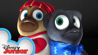 Full Moon Fever 🌝  Puppy Dog Pals  disneyjr [upl. by Dominik]