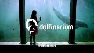 Dolfinarium [upl. by Cheyney]