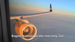 Icelandair Saga Class Experience BOSKEFOSL [upl. by Nywled]