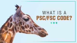 PSC vs FSC Codes Everything You Need to Know for Government Contracts [upl. by Nnayr]