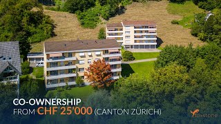 Coownership from CHF 25000  Invest in Canton Zürich [upl. by Pilif570]