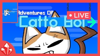 Playing Catto Boi VOD June 26 2024 [upl. by Iot]