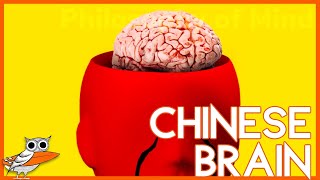 The Chinese Brain The Liberalism Objection to Functionalism [upl. by Yeaton436]