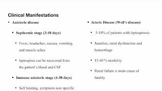 Leptospirosis [upl. by Bibbye]