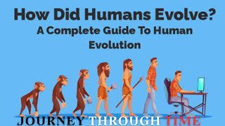 Journey of Evolution From Hominins to Homo Sapiens [upl. by Ade273]