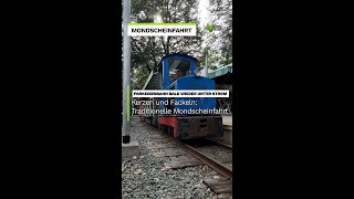 Parkeisenbahn Plauen Weniger Besucher nach Unwetterschaden  VTV [upl. by Rip161]