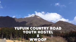 wwoofing at Yufuin Country Road Youth Hostel [upl. by Rakabuba425]