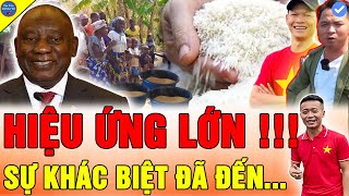 🔴THẾ GIỚI ĐÃ MẮT Team Quang Linh Vlogs SỐ LƯỢNG LỚN GẠO KỶ LỤC TỪ THÀNH CÔNG TRỒNG LÚA TẠI CHÂU PHI [upl. by Sailesh]