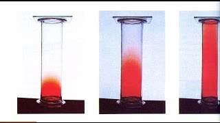 Grahams Law [upl. by Trbor697]