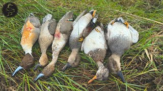 Marsh Duck Hunting in Southeast Louisiana 108 Yard Shot [upl. by Bart]