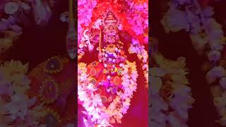 Kali amma 🙏🏻love hindufestival song [upl. by Norina491]