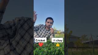 Ap kis ceez ky dwany ho cricket ya chay ☕ [upl. by Safir]