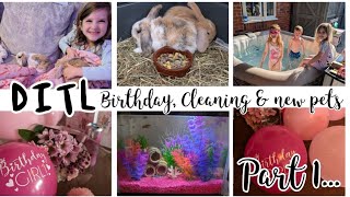 DITL  Birthday  Clean with me amp getting new pets  get it all done with me [upl. by Clarisse]