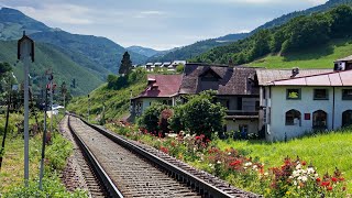 Cab Ride  Kleine Scheidegg to Lauterbrunnen Switzerland  Train Driver View  4K 60fps HDR [upl. by Annavoig260]