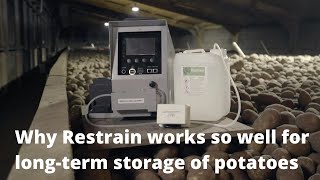 Why Restrain works so well for longterm storage of potatoes  The story from McCain Foods GB [upl. by Calysta867]