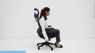 HaleBlackHigh back waist protection good material quality affortable computer gaming chair [upl. by Charron]