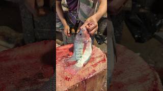 Astonishing Perfect Size Tilapia Fish Cutting Skills In Bangladesh 🫢😱 shorts [upl. by Tallu]