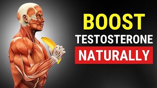 12 Best Foods to Increase Testosterone Levels  Testosterone Boosting Foods [upl. by Robinet380]