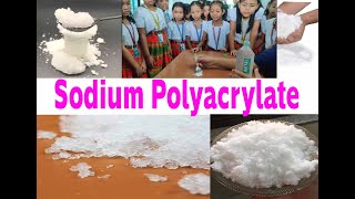 Experimental of Sodium Polyacrylate with school children Class 4 [upl. by Verada257]