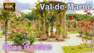 🇫🇷Roseraie du ValdeMarne  Roseraie de LHaÿ  Rose Garden 4K [upl. by Aihsenod81]