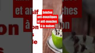 Solution antimoustiques et antimouches à la maison [upl. by Trovillion]