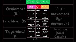 Cranial Nerves  Types and Functions cranialnerves cranialnerve anatomyphysiology [upl. by Leitao65]