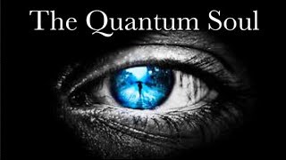 What is CONSCIOUSNESS The Case for the Quantum Soul [upl. by Caye]