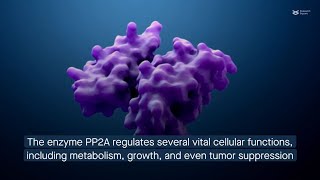 How tumor suppressor PP2A promotes colorectal cancer [upl. by Nnaeirual957]