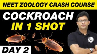 COCKROACH in 1 Shot  Structural Organisation in Animals  Zoology in 30 Days  Day 2  UMEED [upl. by Noiwtna]