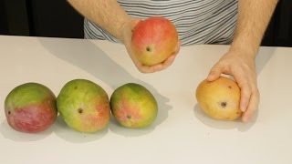 How to Tell If a Mango is Ripe [upl. by Paolo]