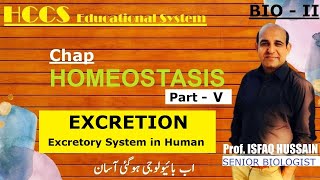 Excretion  Excretory System in Human Ch15 Part V  BIO 2nd yearProf ISHFAQ LEC11 [upl. by Eelyek]