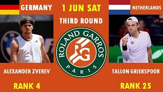 ALEXANDER ZVEREV VS TALLON GRIEKSPOOR  Head 2 Head Prediction French Open 24frenchopen2024 [upl. by Plafker]