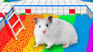 DIY Rainbow Hamster Maze with Rainbow Pool OBSTACLE COURSE [upl. by Are]