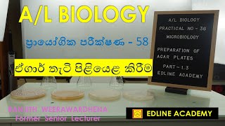 Microbiology Practical No 12  Preparation of agar plates Advanced Level Biology Practicals [upl. by Janenna]