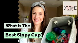 What Is The Best Sippy Cup [upl. by Bonneau]