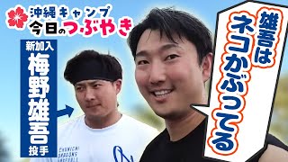 藤嶋「雄吾がまだネコかぶってるんで」梅津「最近、日焼け止め塗ってるんですよ」【「今日のつぶやき」24日ドラゴンズ沖縄キャンプ】 [upl. by Kev]