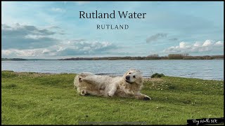 Rutland Water Dam｜Virtual Walk｜Dog Walking Route｜4K [upl. by Oicelem157]