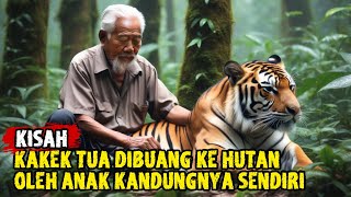 KISAHNYA BIKIN MERINDING DIBUANG KE HUTAN OLEH ANAK SENDIRI KAKEK TUA MENEMUKAN HARIMAU KALIMANTAN [upl. by Floss]